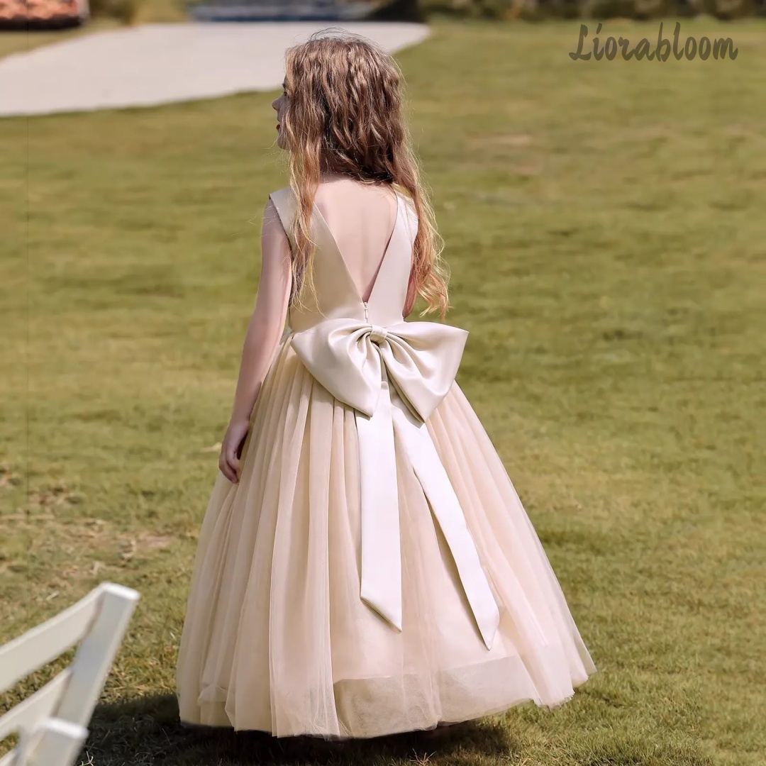 ชุดเดรสเจ้าหญิงหลากสีแบบเปิดหล - Formal Wear Women Us บทวิจารณ์และราคา